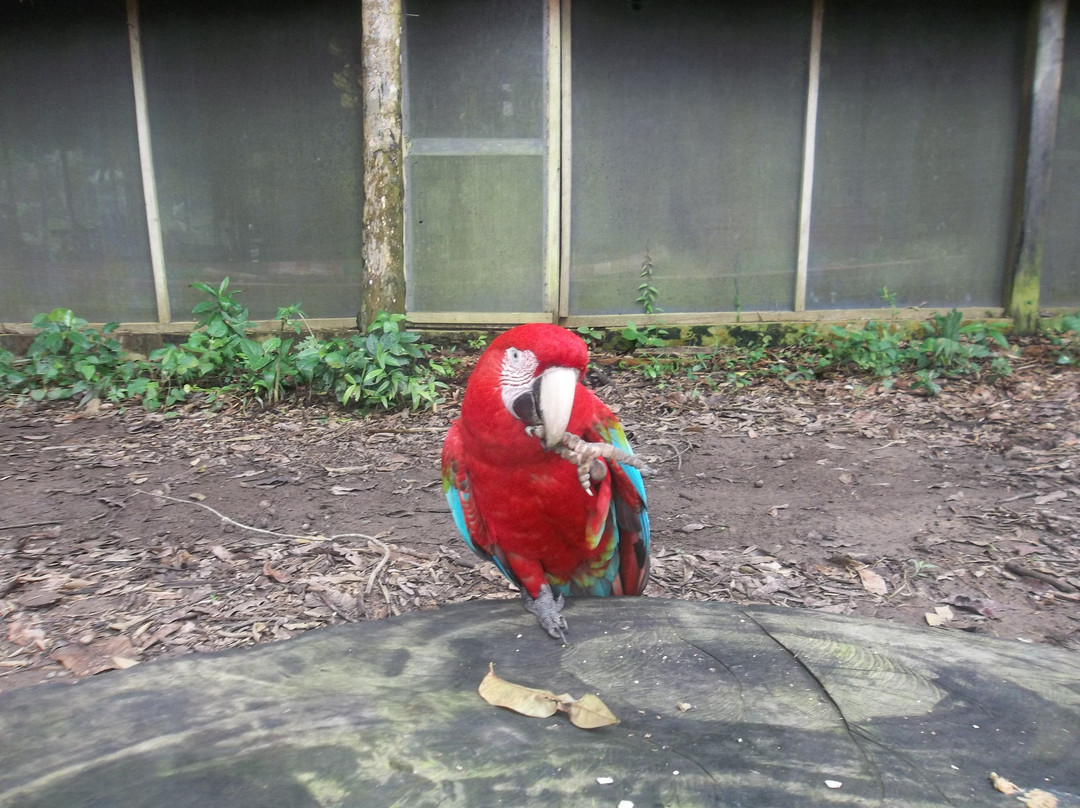 Camping Madidi Tours - Private Day Tours-Madidi National Park必去景点