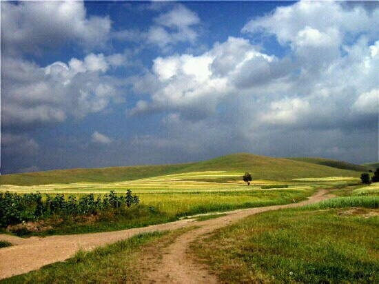 丰宁坝上草原-丰宁满族自治县必去景点