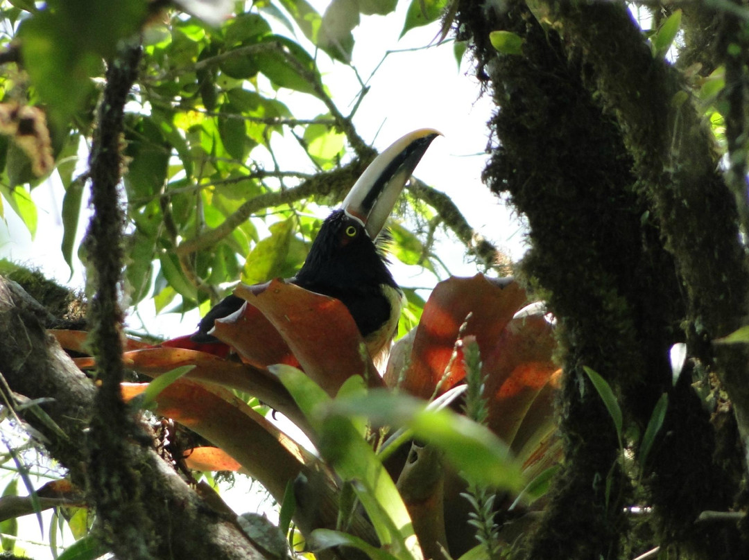 MindoXtrem Birds-明多必去景点