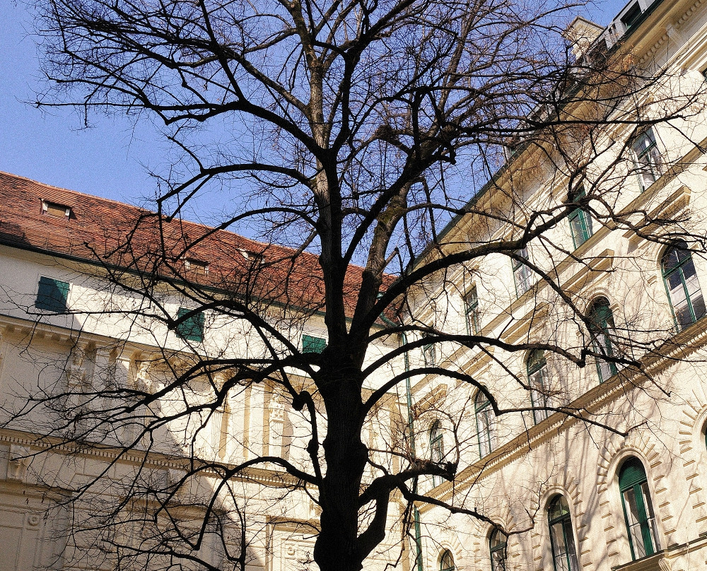 Altstadt von Graz-格拉茨城必去景点