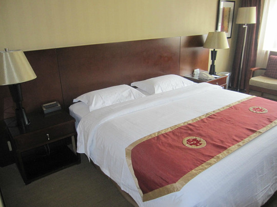 天伦松鹤大饭店主图