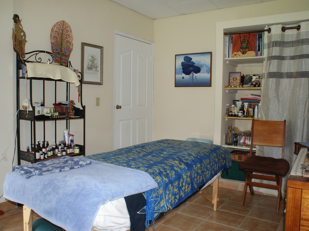 Spa Boquete Professional Massage And Spa Facials景点图片