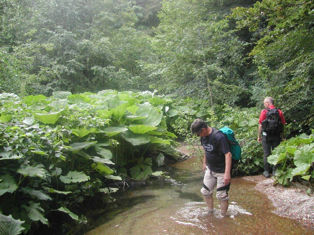 3e Travel Montenegro-科托尔必去景点