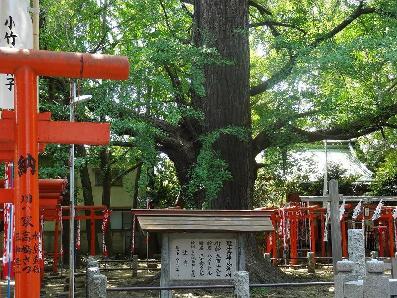 鬼子母神-丰岛区必去景点