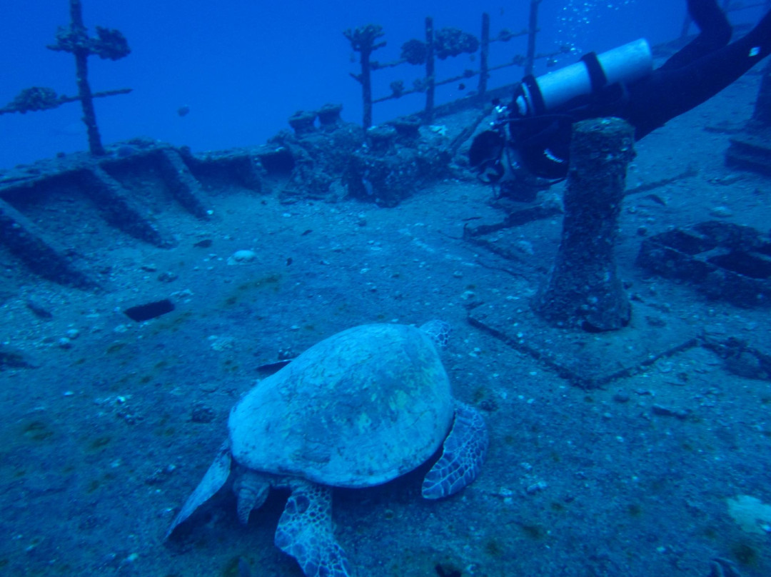 凯马纳潜水-火奴鲁鲁必去景点