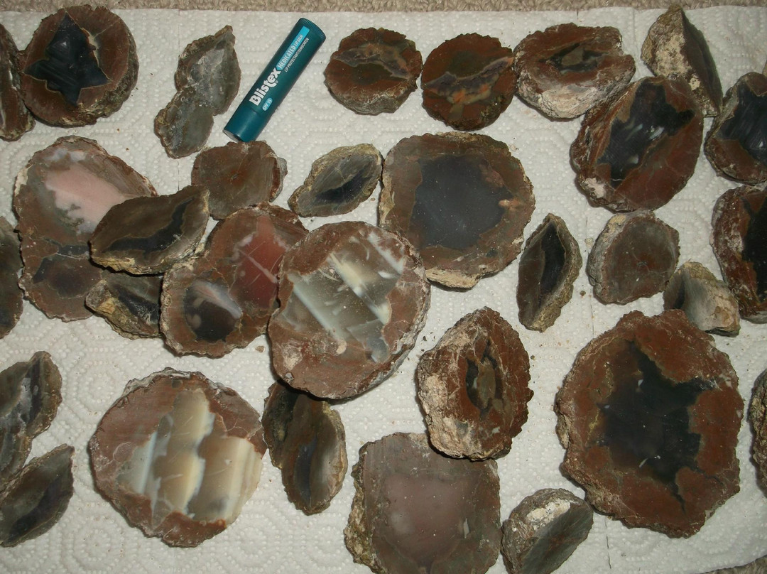 Richardson's Rock Ranch景点图片