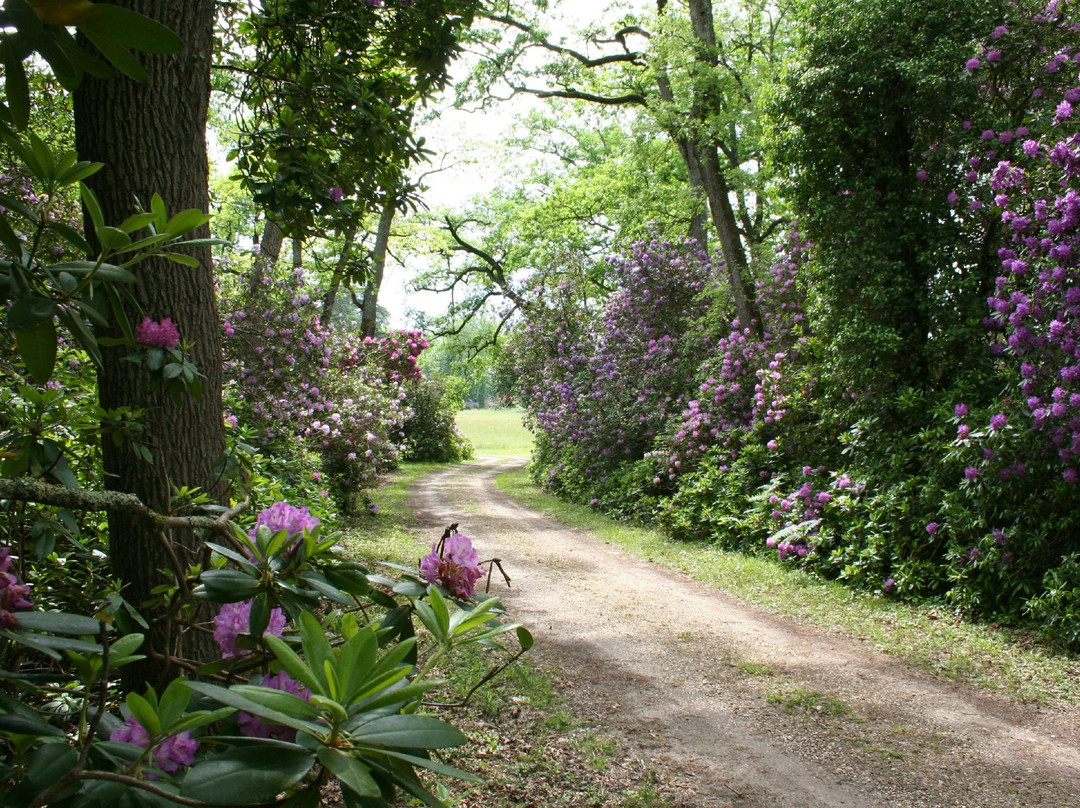 Domaine de Grenade景点图片