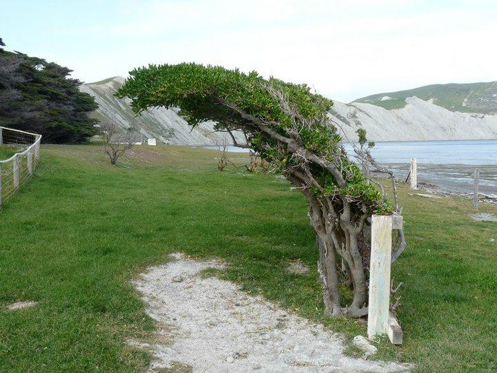 Kekerengu旅游景点-Cape Campbell Track