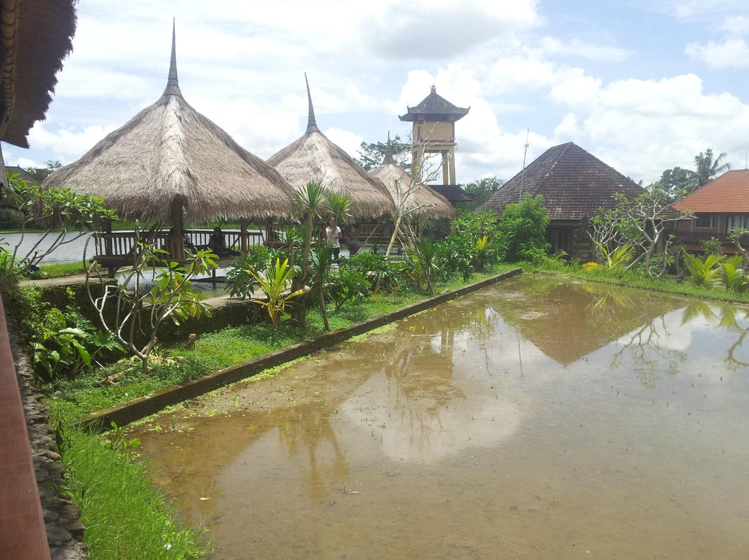 We Are Family Bali Cycling Tours-沙努尔必去景点