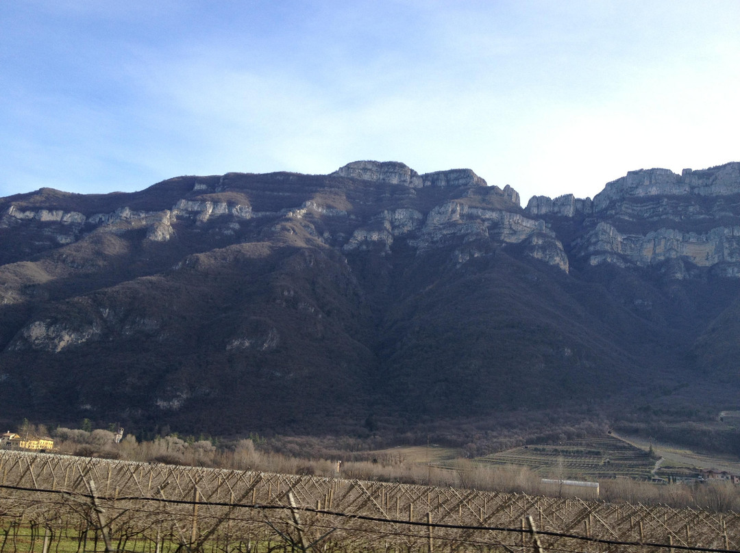 Naz-Sciaves酒店住宿-Residence Schiestlhof