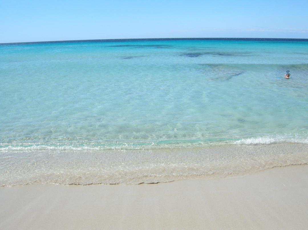 Playa de Son Bou景点图片