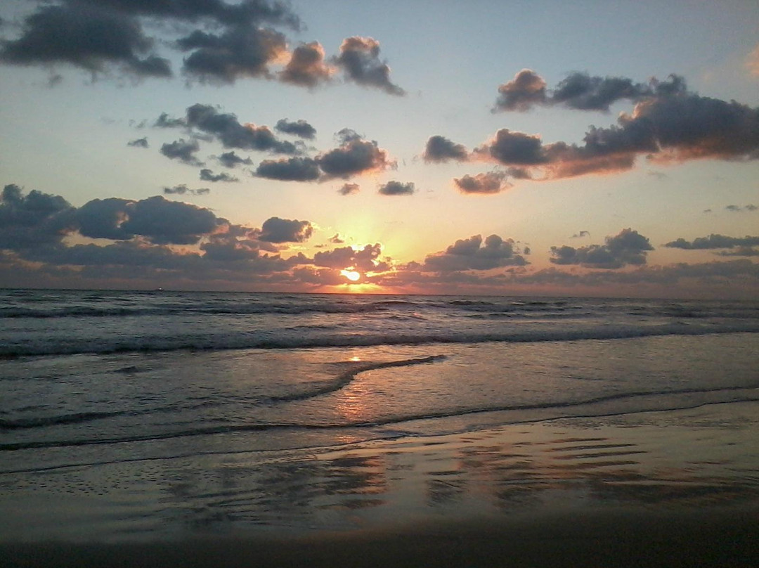 Famous Shores Motel主图