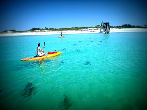 Walkin' On Water Paddleboards景点图片