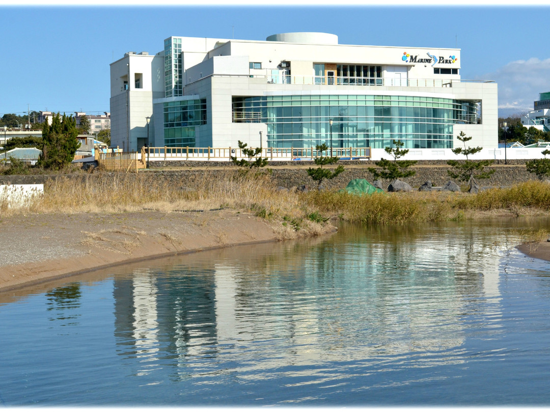 Jeju Olle Trail Routes-济州岛必去景点