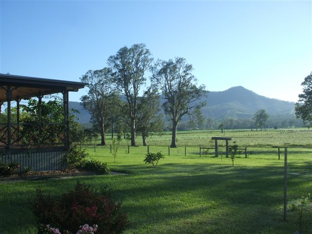 Feathers Home Stay-官方