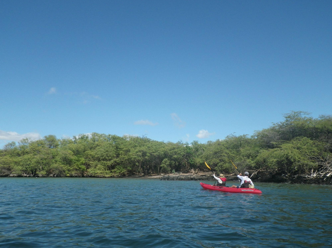 King Kayak Hawaii景点图片