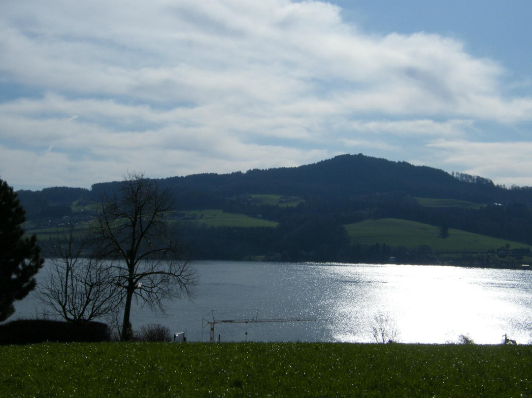 Bauernhof Stroblbauernhof主图