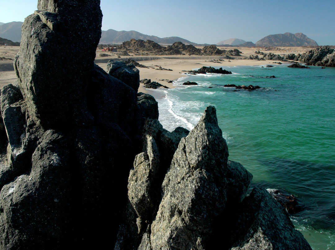 Chanaral旅游攻略图片