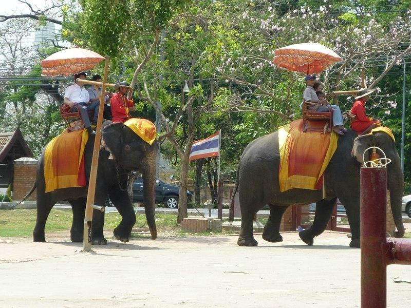 Elephantstay-大城必去景点
