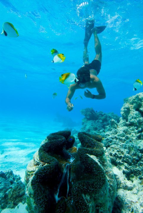 Aitutaki Adventures-艾图塔基必去景点