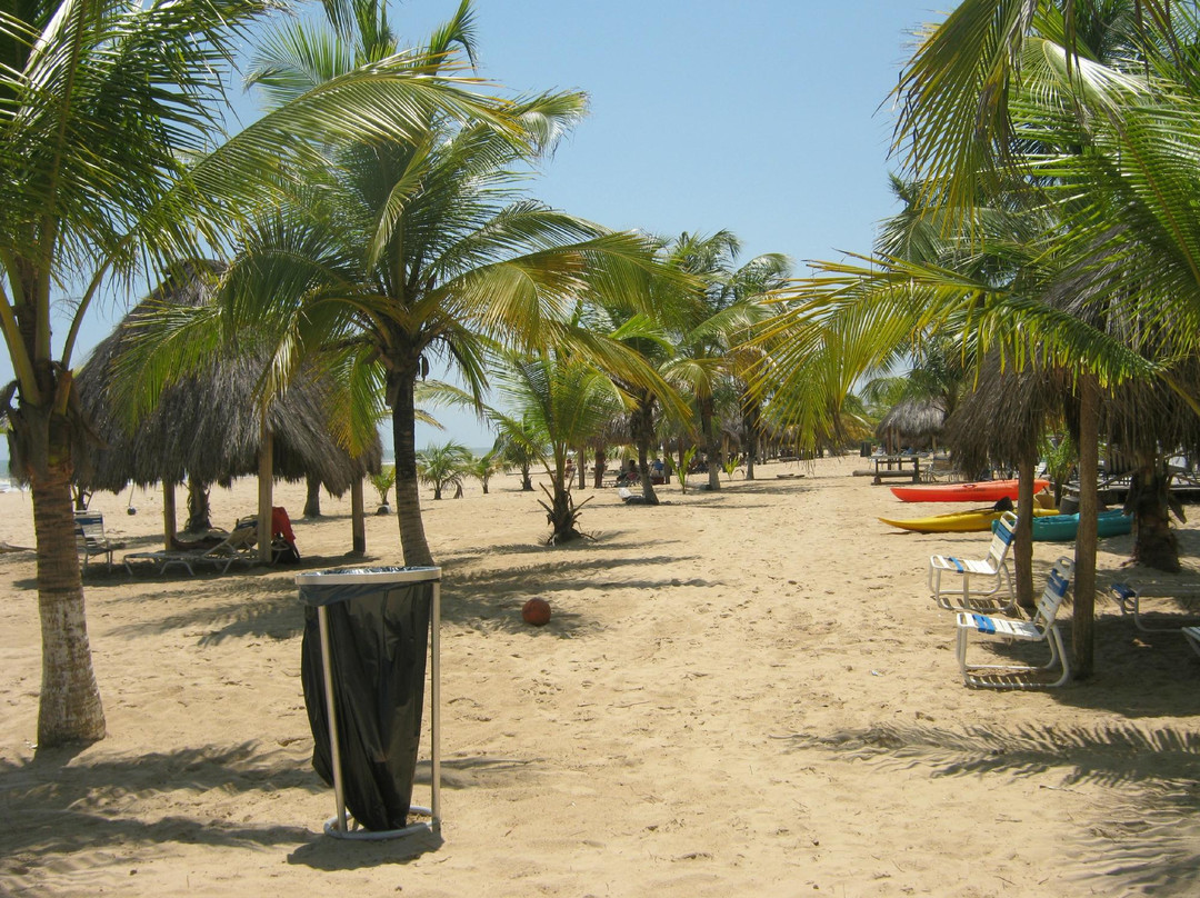 Playa Miami景点图片