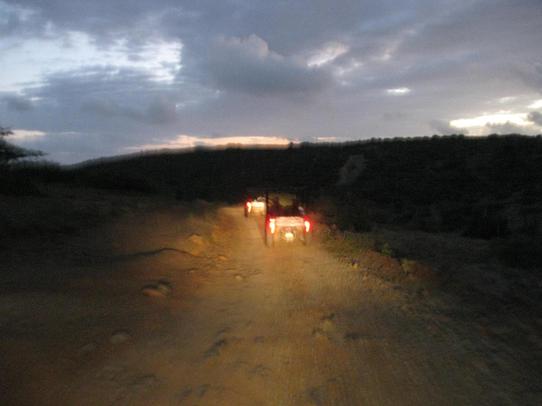 Aruba Sunrise Tours-萨瓦内塔必去景点