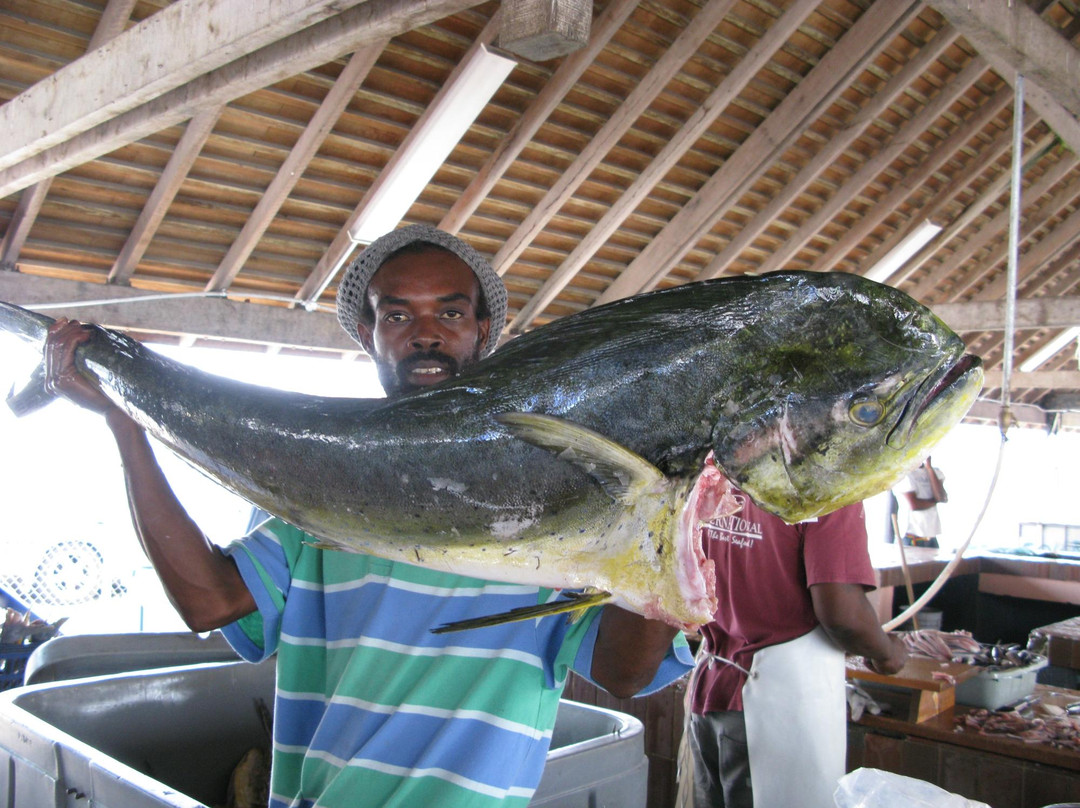 Caribbean Motorcycle Guided Tours-布里奇顿必去景点