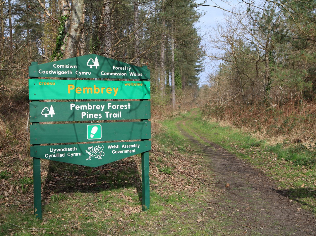 Pembrey Country Park & Beach景点图片