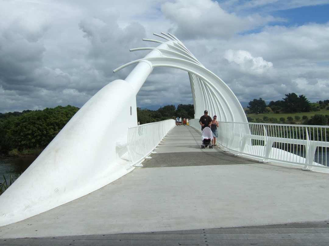 Te Rewa Rewa Bridge-新普利默斯必去景点