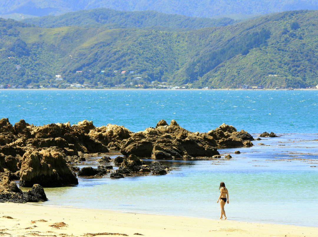 Scorching Bay-惠灵顿必去景点