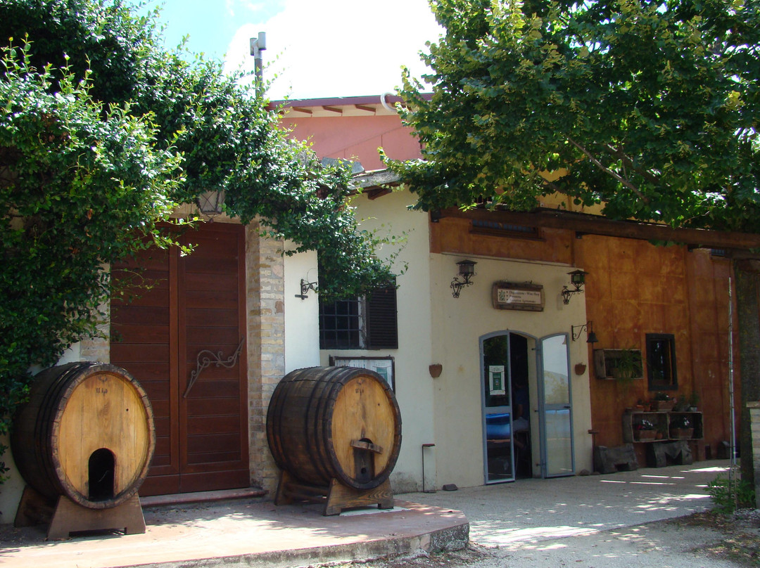Cantina Fongoli