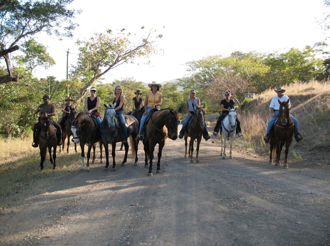 Casagua Horses Tours景点图片