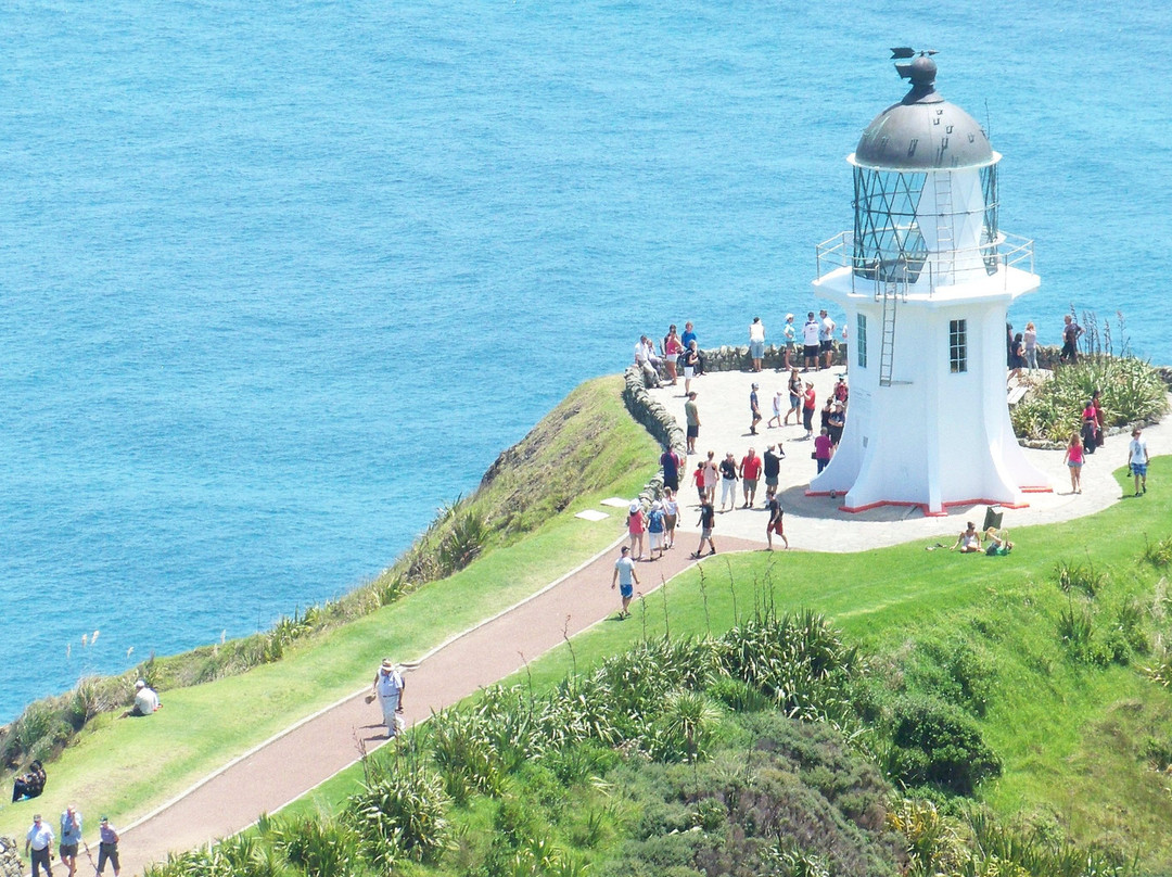 Harrisons Cape Runner景点图片