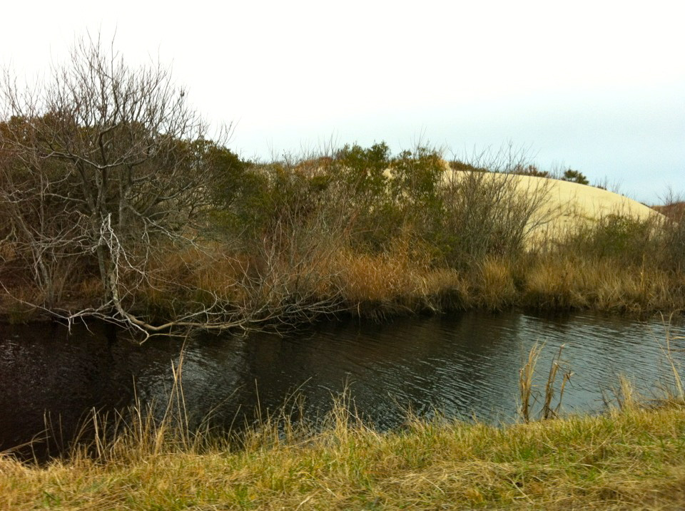 Back Bay National Wildlife Refuge景点图片