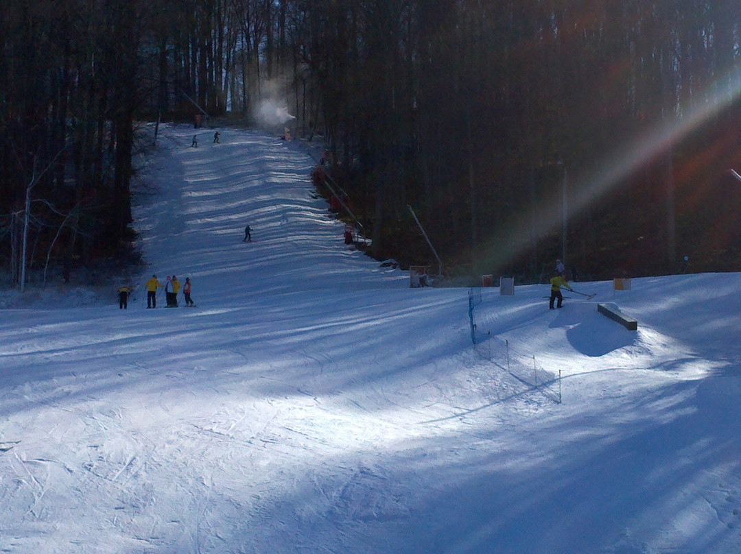 Shawnee Mountain Ski Area景点图片