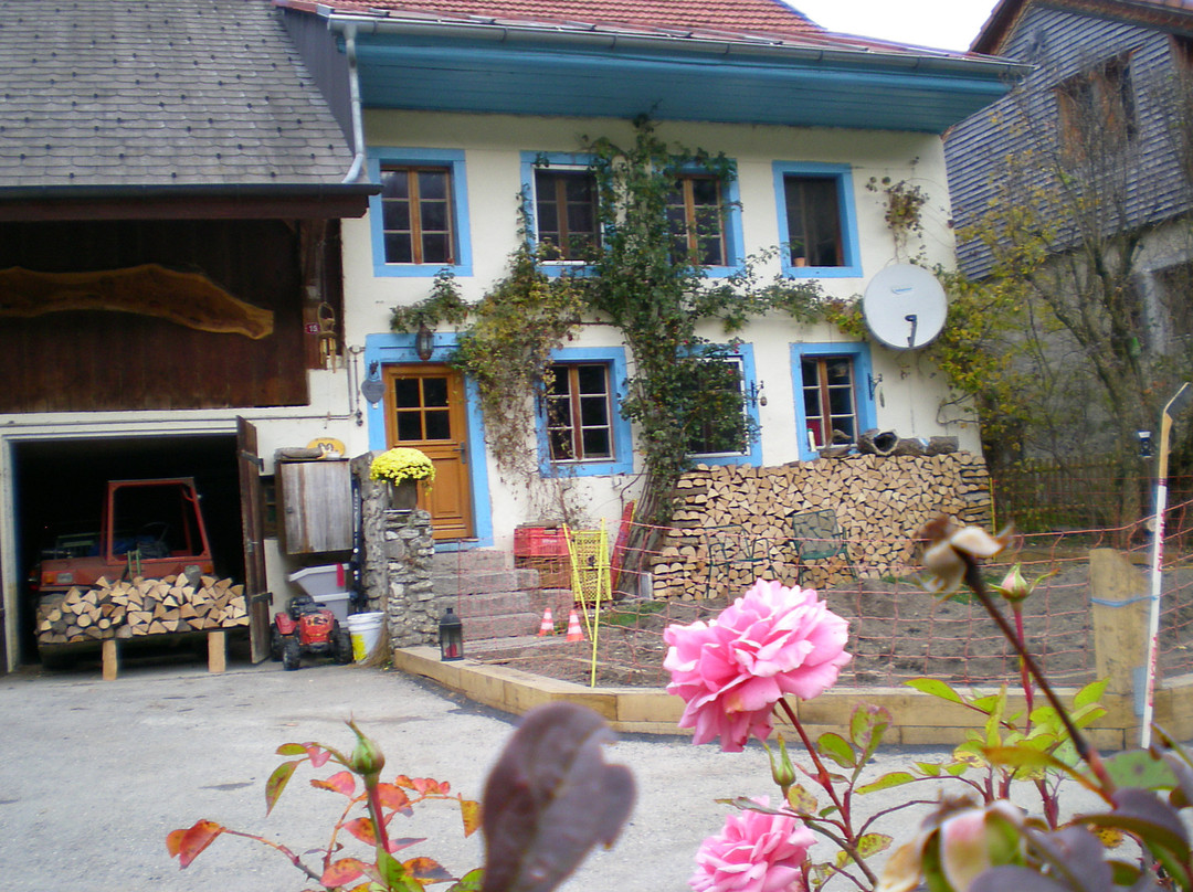 Montbovon旅游攻略图片
