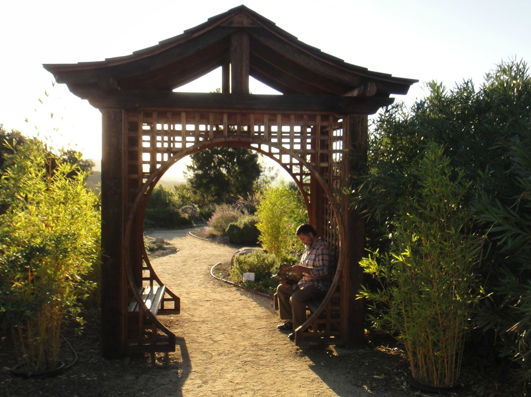 Meditation Mount-奥海必去景点