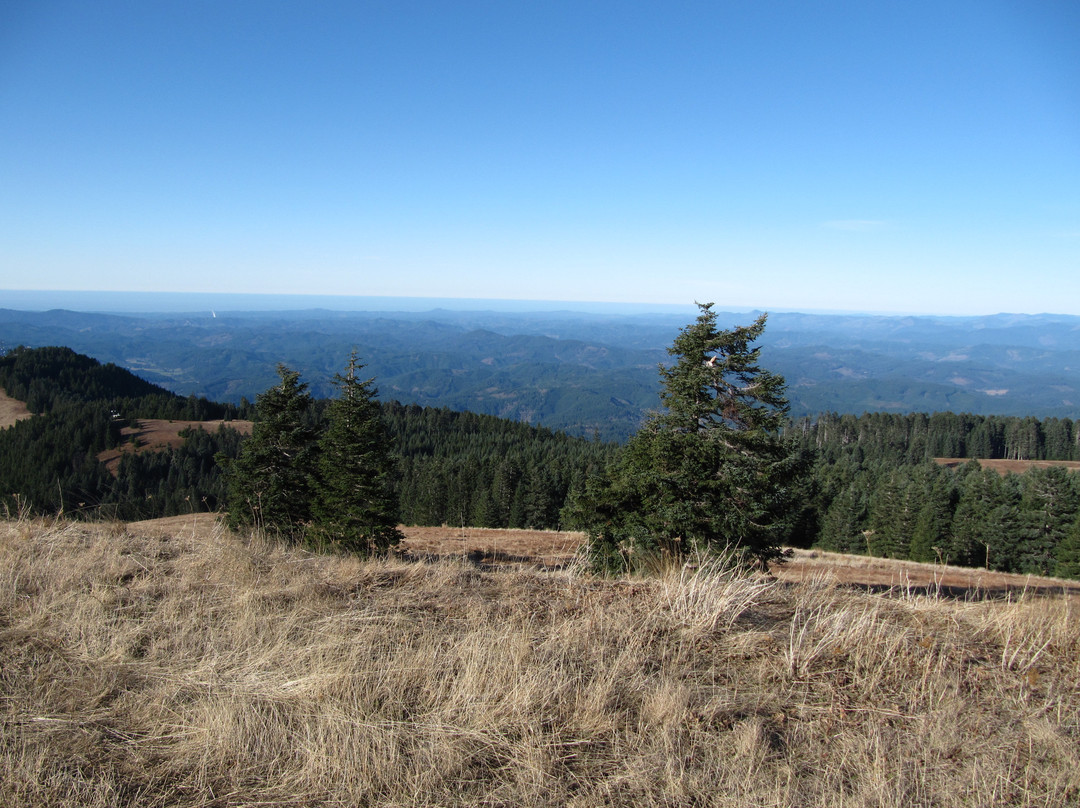 Siuslaw National Forest-科瓦利斯必去景点