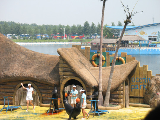 乐岛-秦皇岛市必去景点