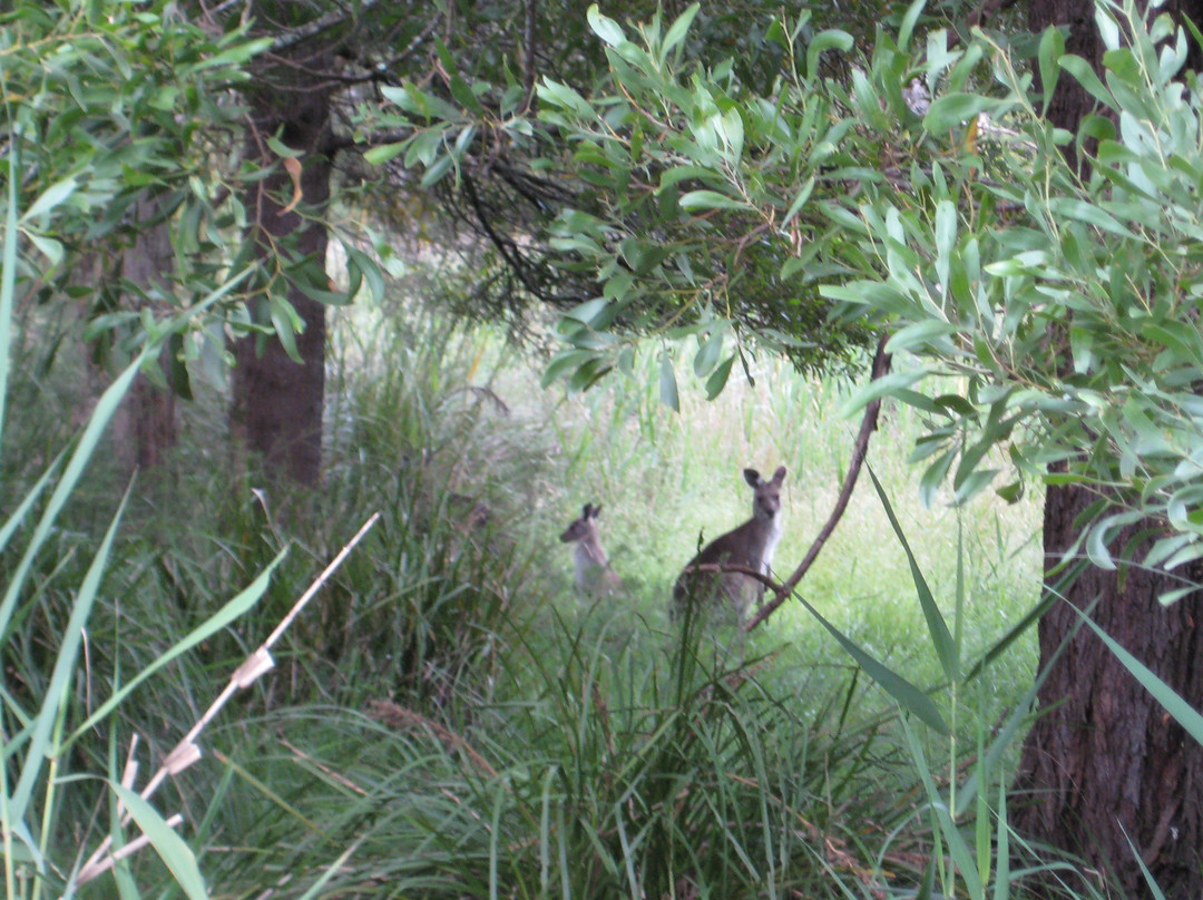 希尔斯维尔保护区-希尔斯维尔必去景点