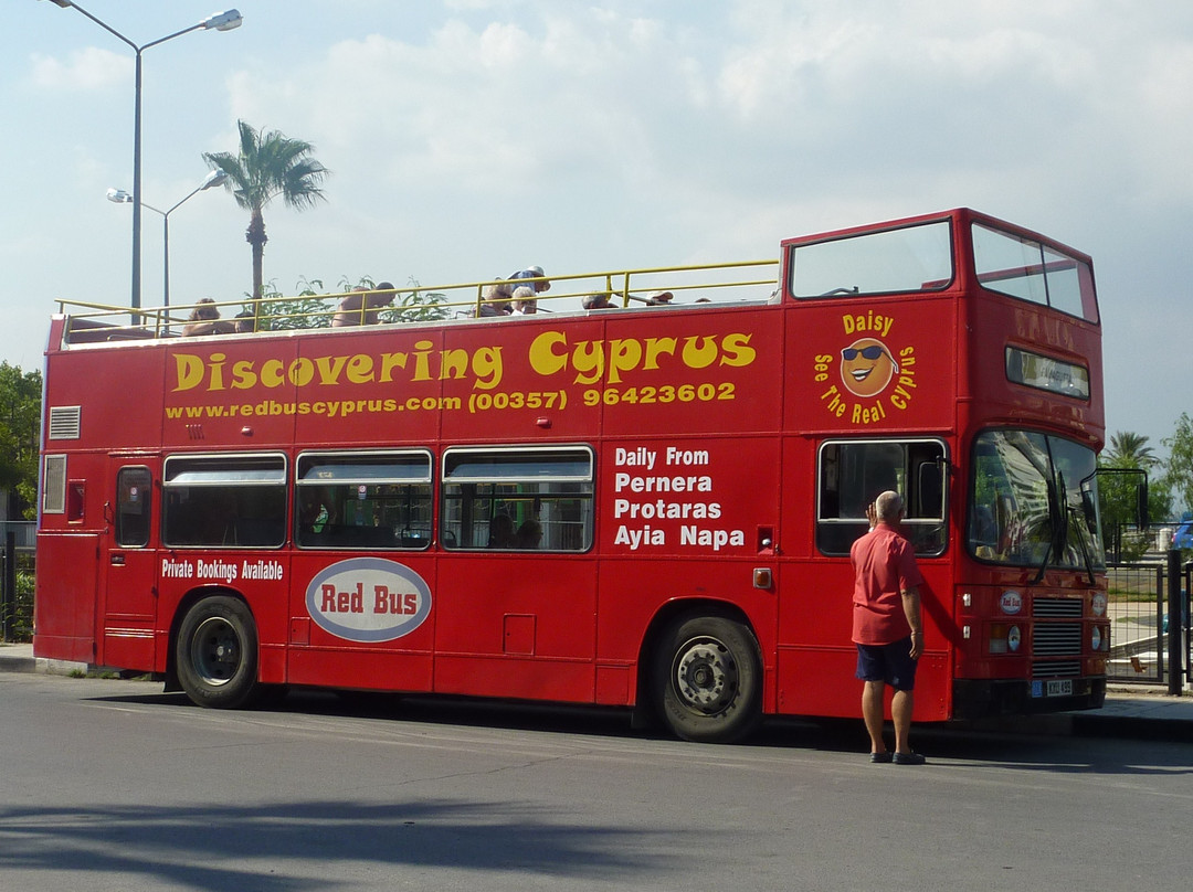 The Original Red Bus景点图片