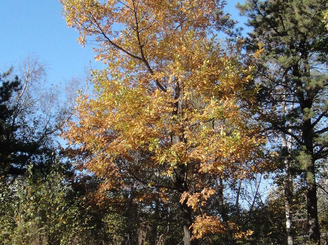 老岭-青龙满族自治县必去景点