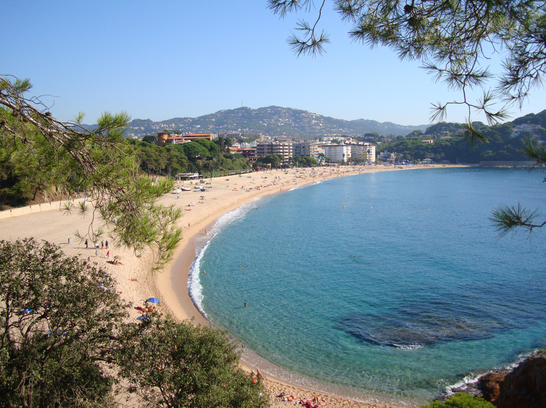 Playa de Fenals景点图片