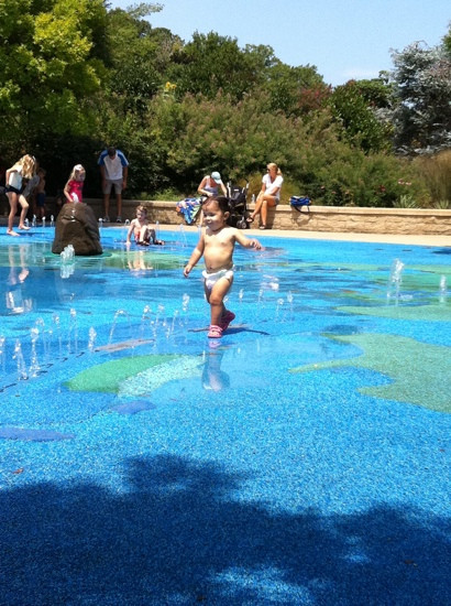 Norfolk Botanical Garden-诺福克必去景点