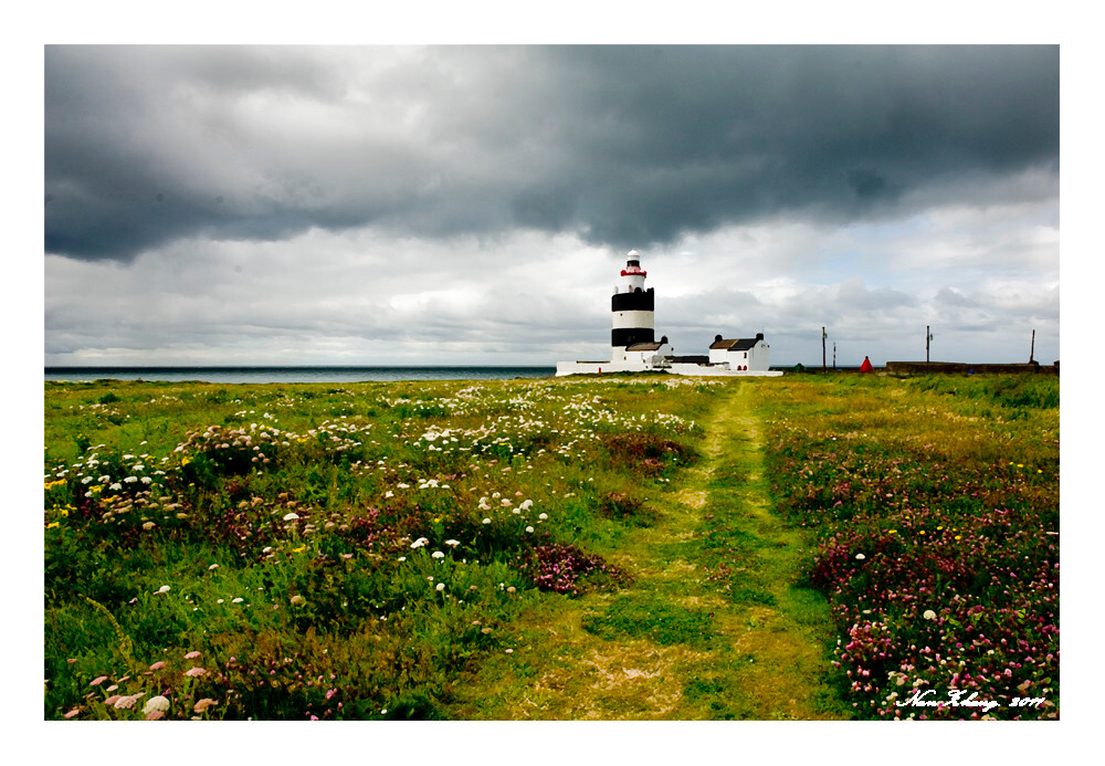 Hook Head Safaris景点图片