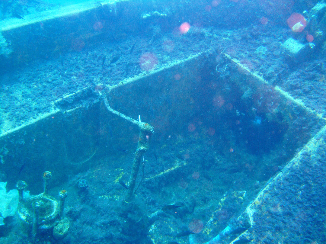 Zenobia Wreck Diving Site-拉纳加必去景点
