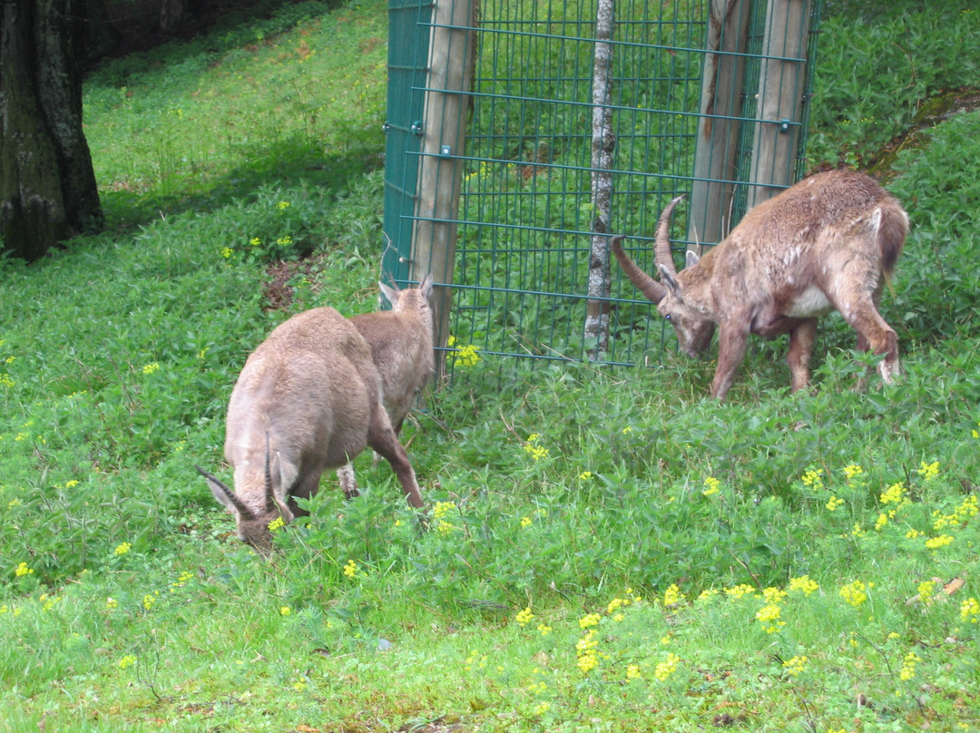 Tierpark Rosegg-Rosegg必去景点