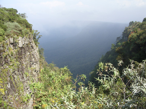 African Safari Adventures-雾观必去景点