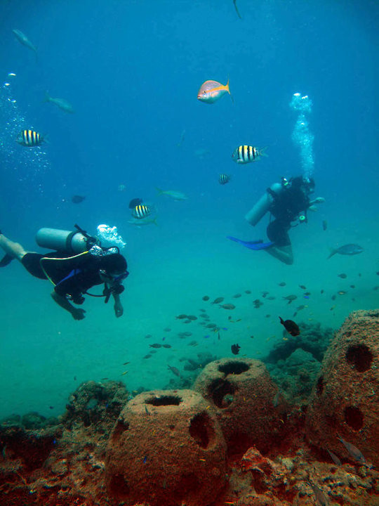 Divecenter Merlin-苏莎亚必去景点