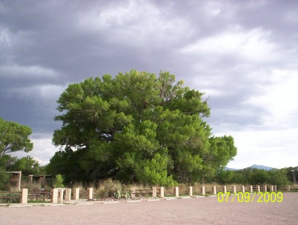 San Pedro Riparian National Conservation Area景点图片